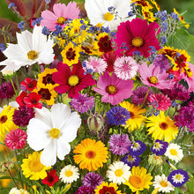 Imported Mix Flower Seeds(20 Types)