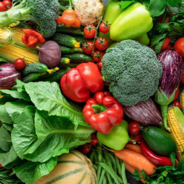 20 Types Organic Mix Vegetable Seeds